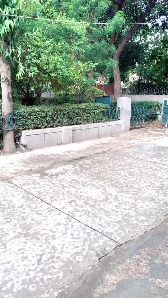 @anusha021990