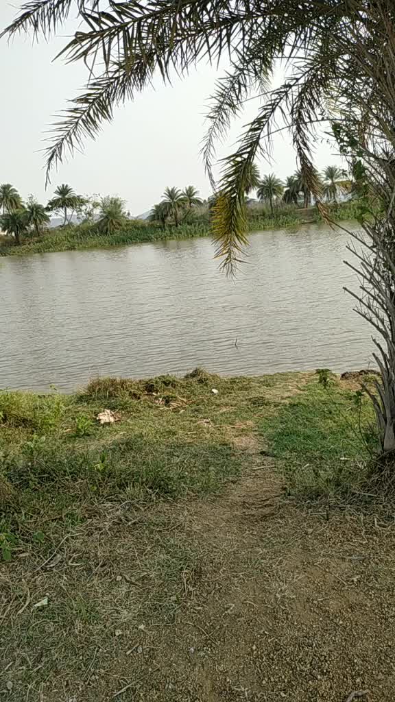 @Deepak kumar Mishra