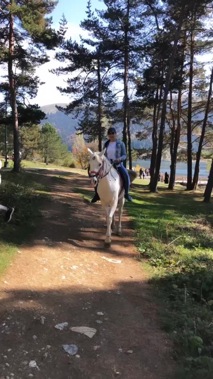 @Yüksel Eren