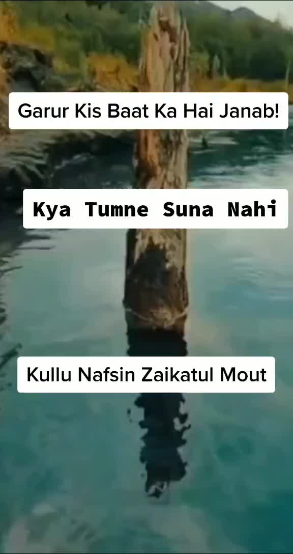 @NAFIS SHAIKH👑