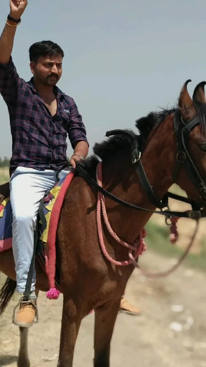 @vipulsinhvaghela