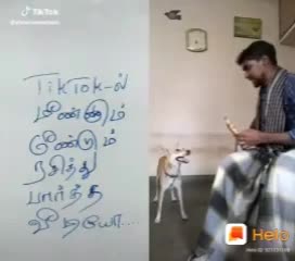 @Shalini Shalini