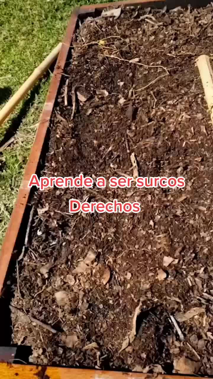 @Pasi&oacute;n a la jardiner&iacute;a🌺💦👈🏼