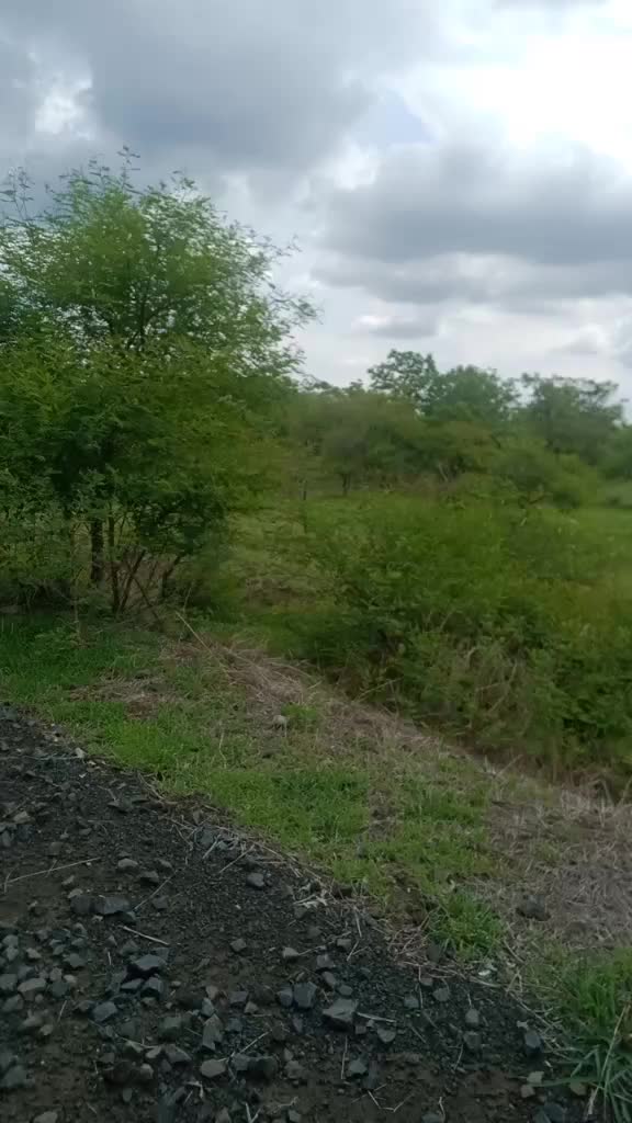 @Dev Naik