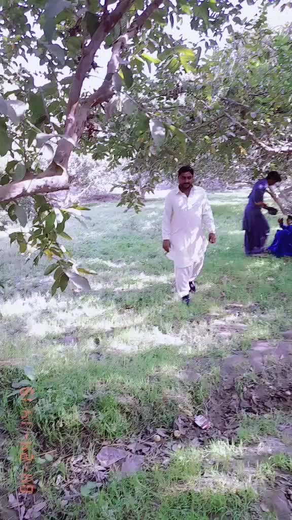 @Naeemali Solangi