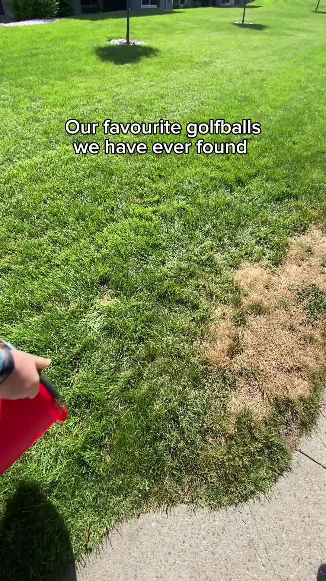 @EDgolfballs