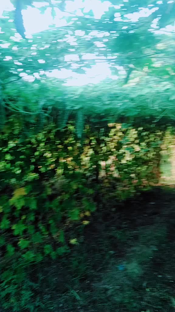 @Àvìñåsh Bräswàl