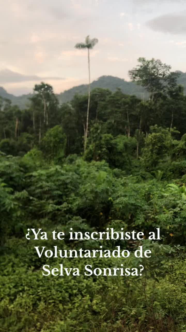 @Fundaci&oacute;n Selva Sonrisa