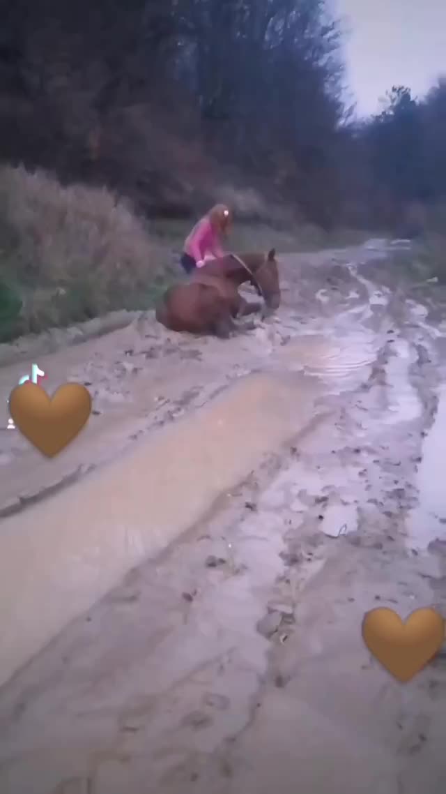 @Tinaa