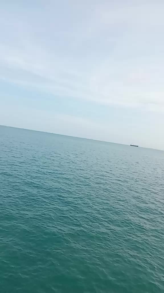 @tiara tanjung