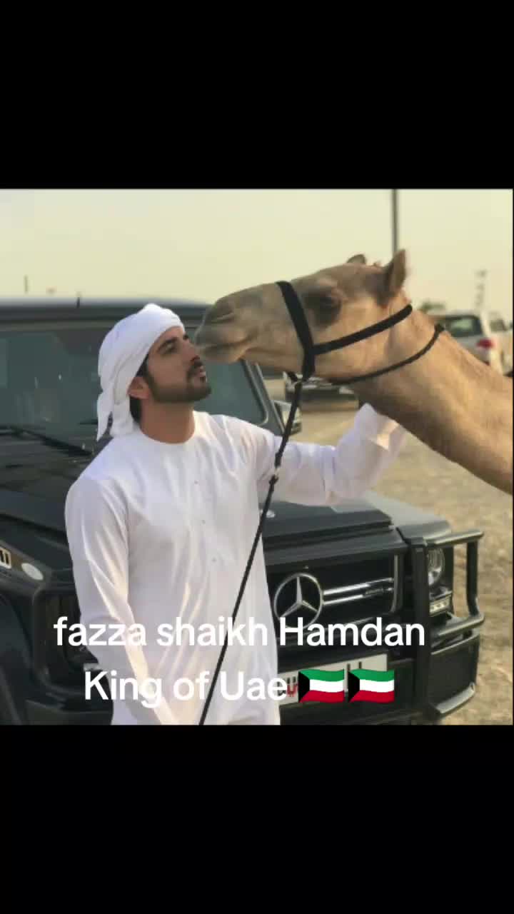 @๐๏ธfazza shaikh Hamdan ๐ ๐ฐ๐ผ