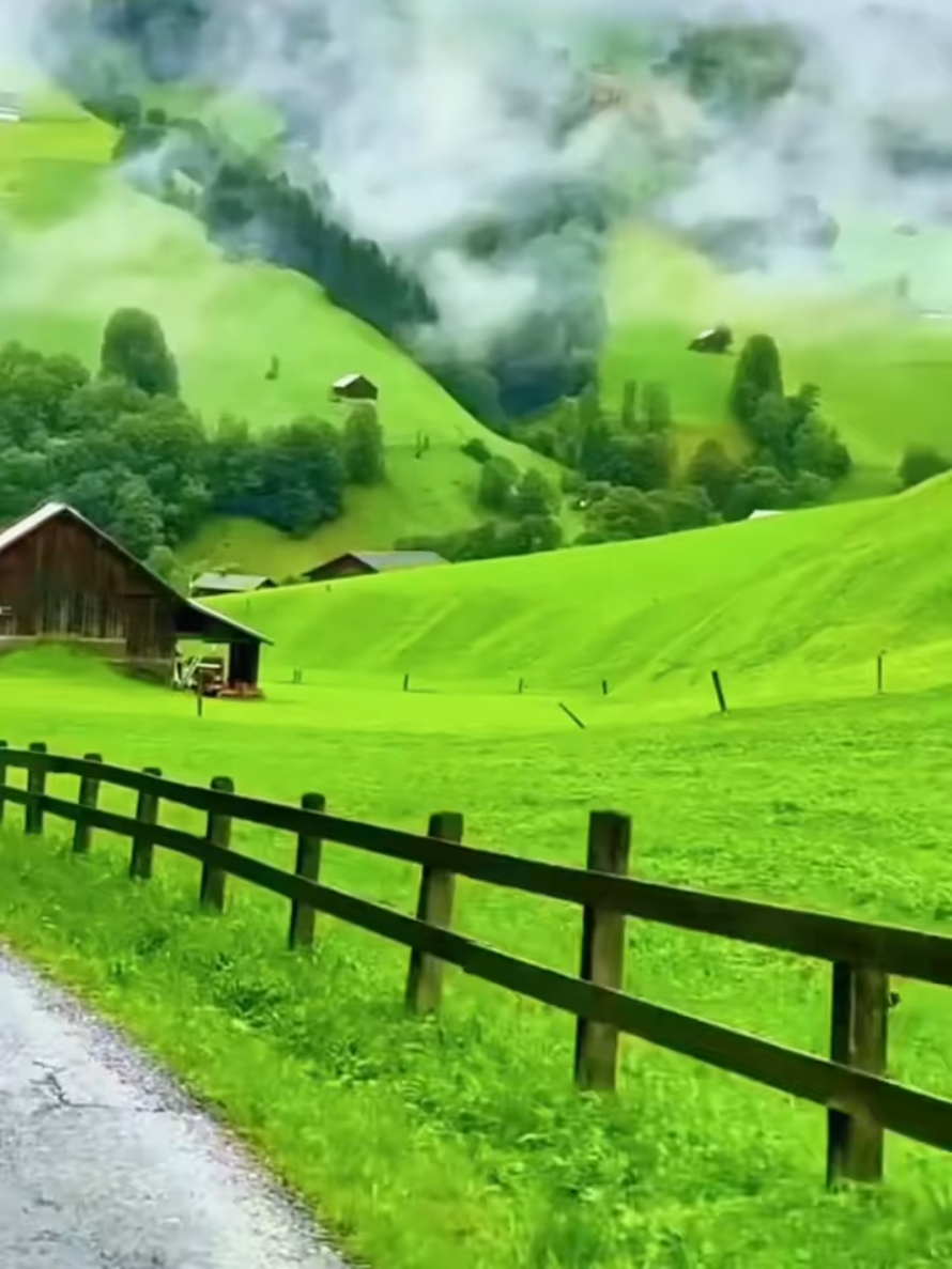 @@Cuung Glory✨️