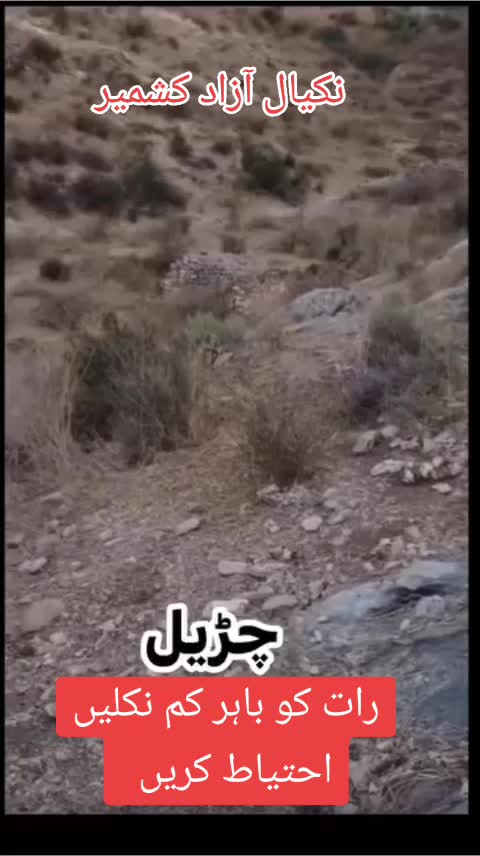 @،💔💔💔Dil ki baat Dil Tek💔💔