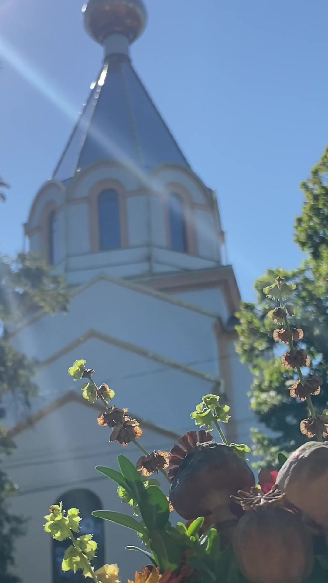 @Янка Квак