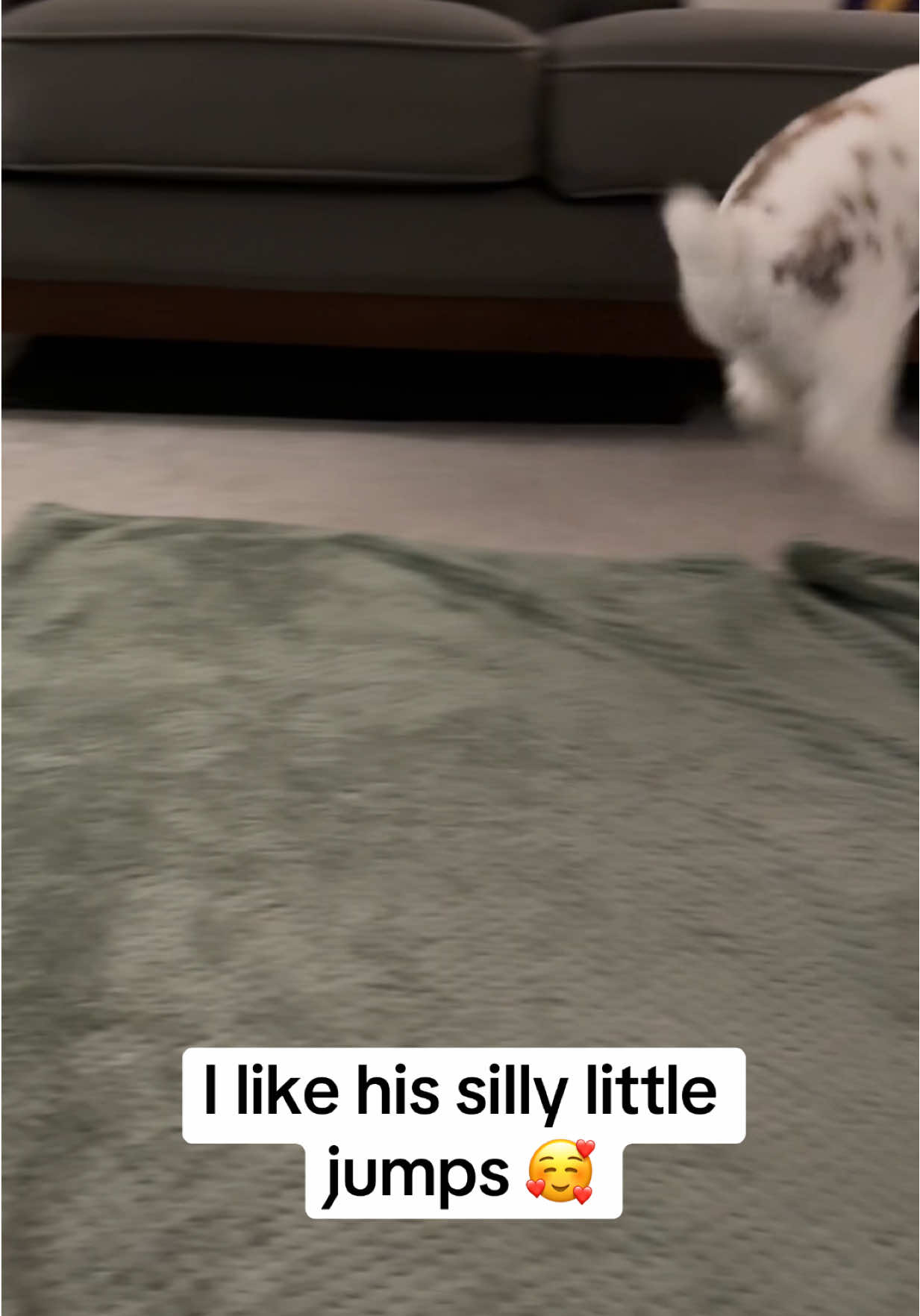 @Bun, two, three, four