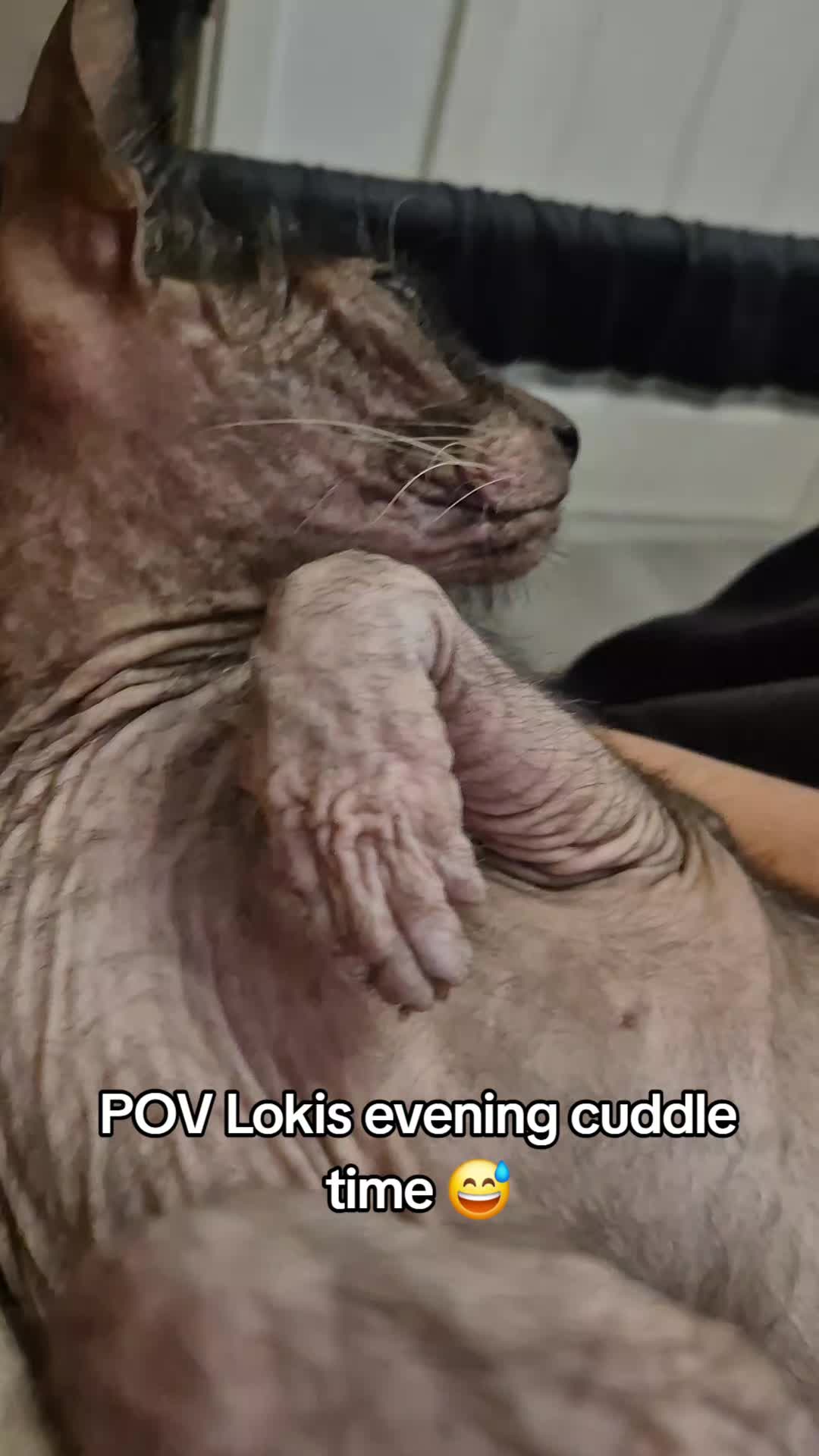 @sarah_cyanide