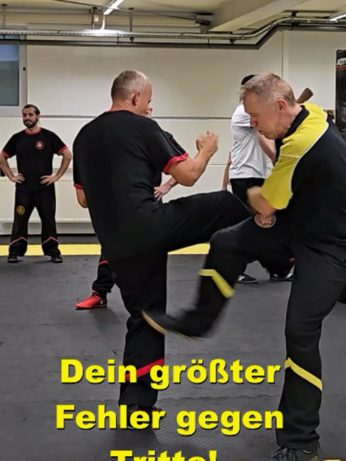 @Sifu Martin Hofmann