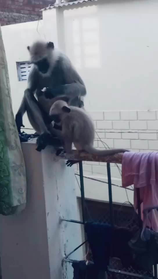 @shivna Bhati