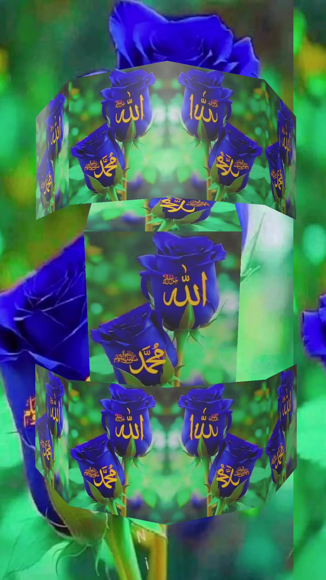 @Rumi Begum