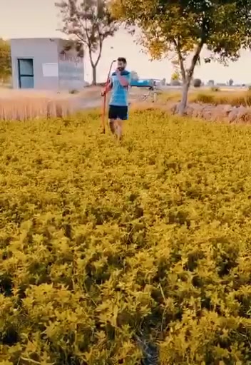 @Harpinder