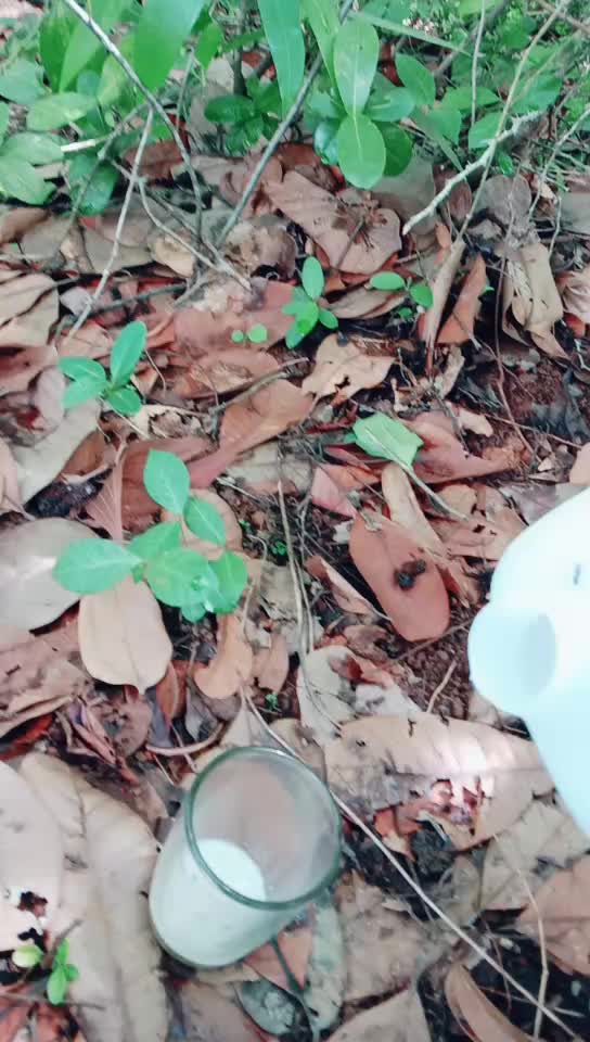 @Pravi Vatakara