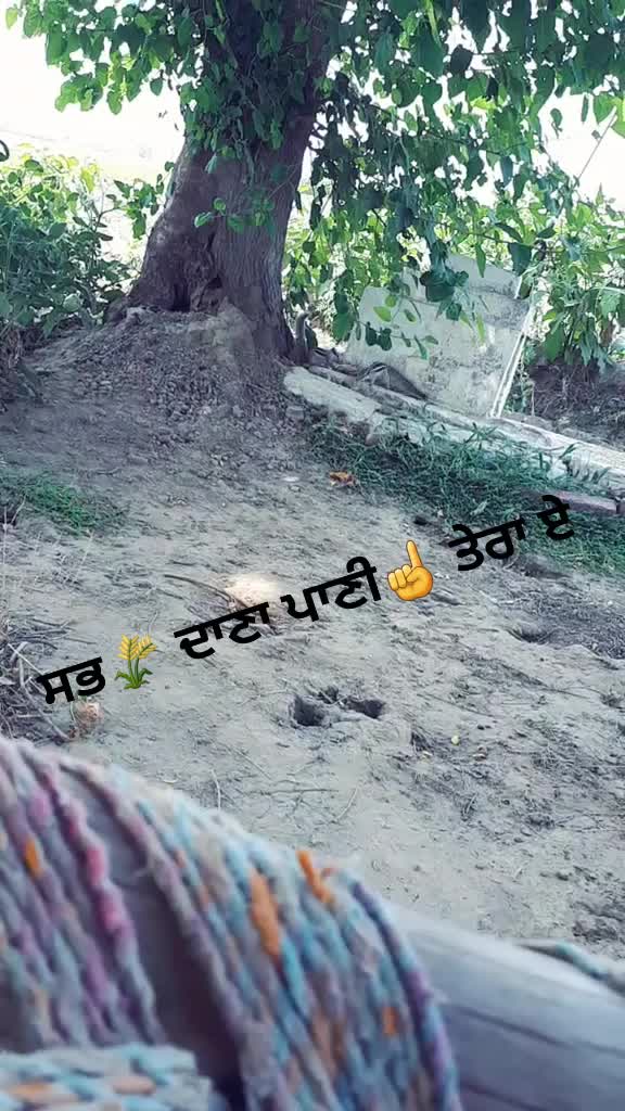 @Mani Dhillon