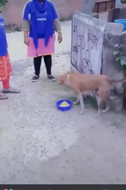 @Komal shukla