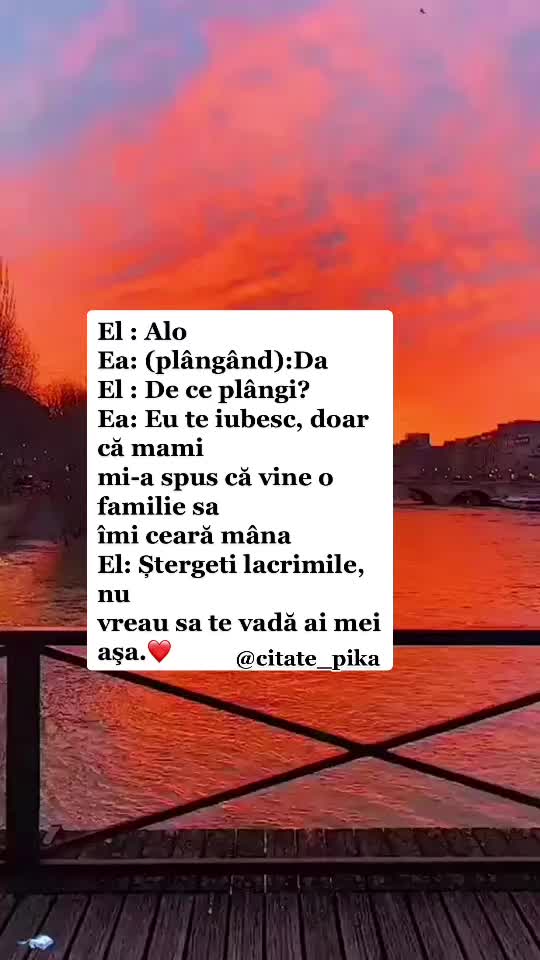 @citate_pika