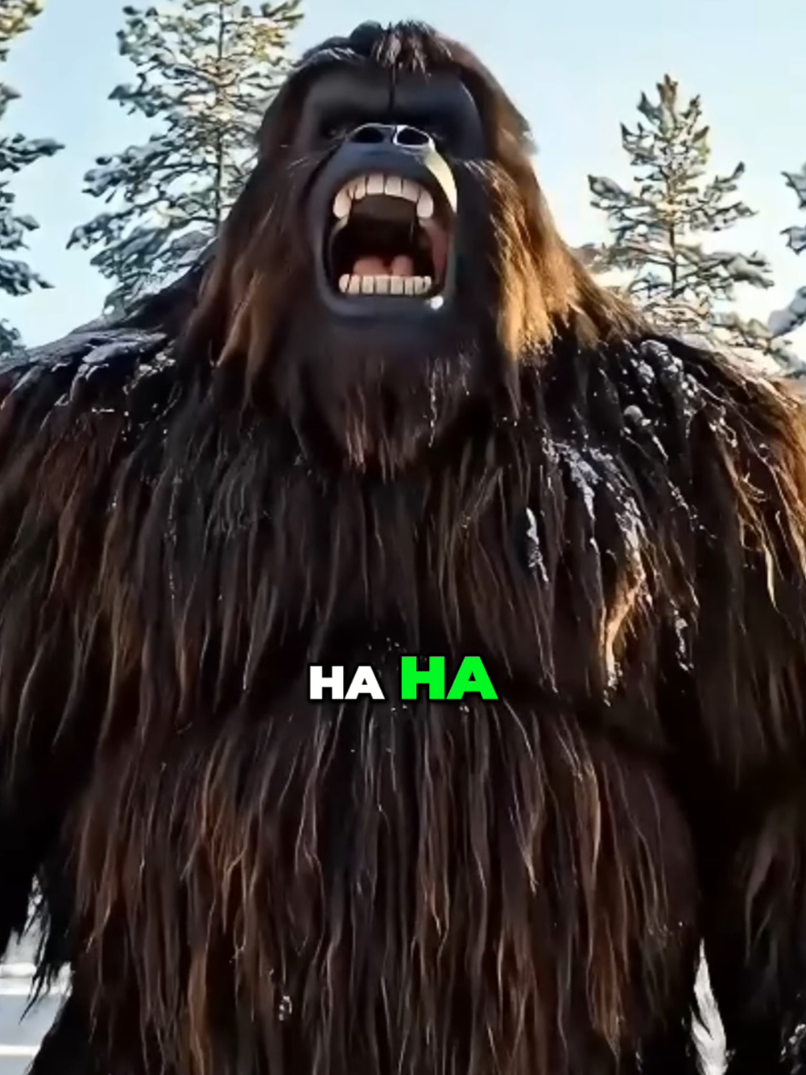 @Bigfoot Daily Vibes