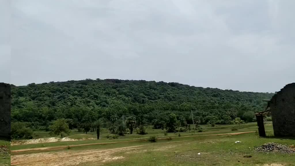 @Jyoti Prakash Mohaku