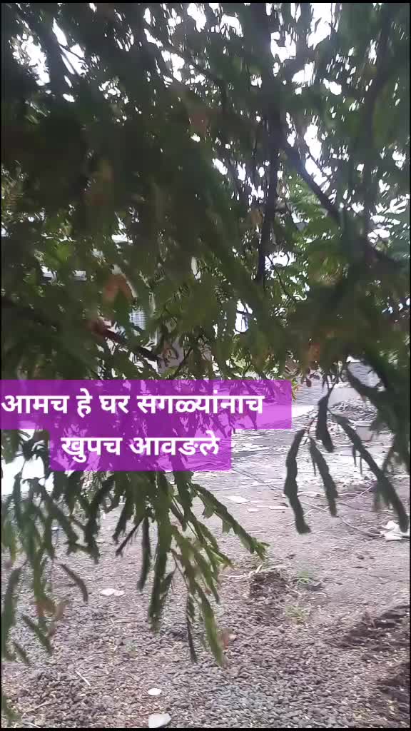 @Bappu Ladkat