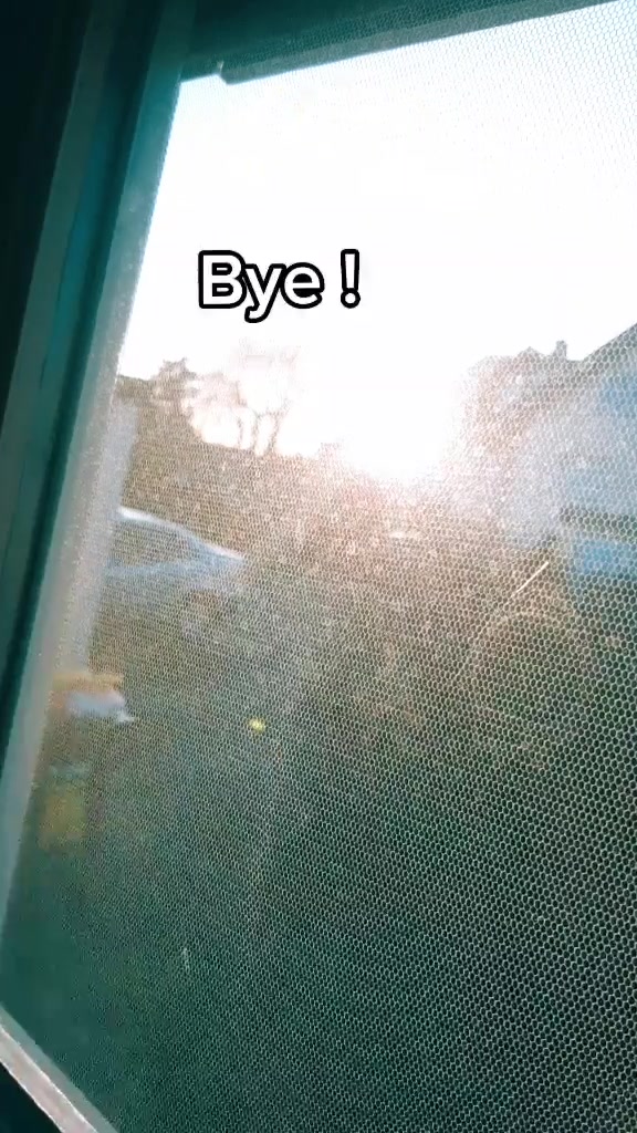 @๐ฆ๐ค