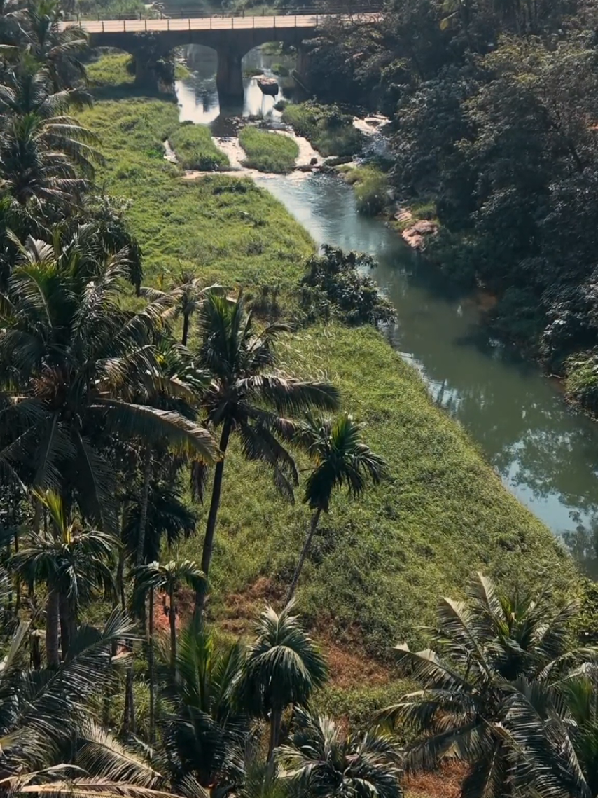 @Nature Lover