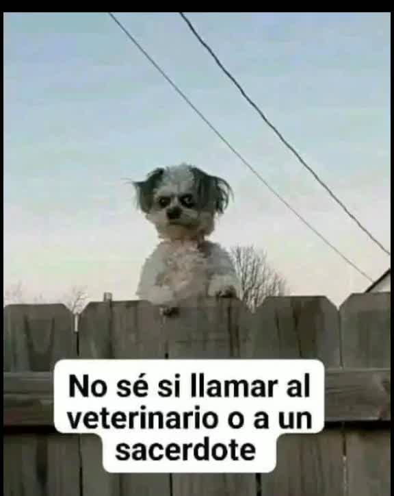 @Ghosttaff Denom