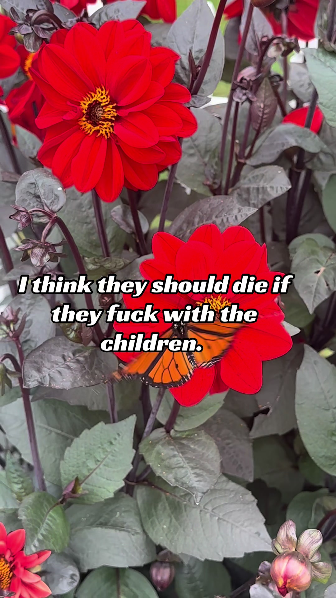 @Alex Easton🍉🔻🇵🇸