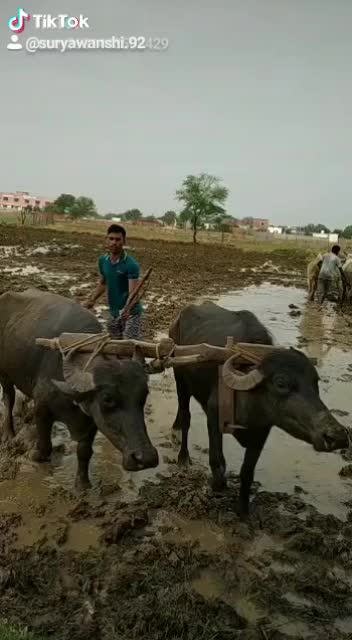 @jeetu suryavanshi