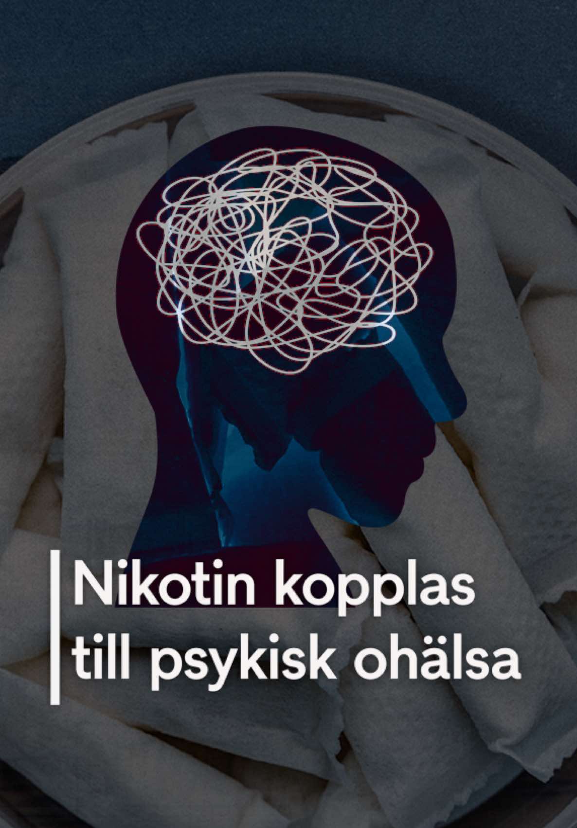 @TV4 Nyheterna