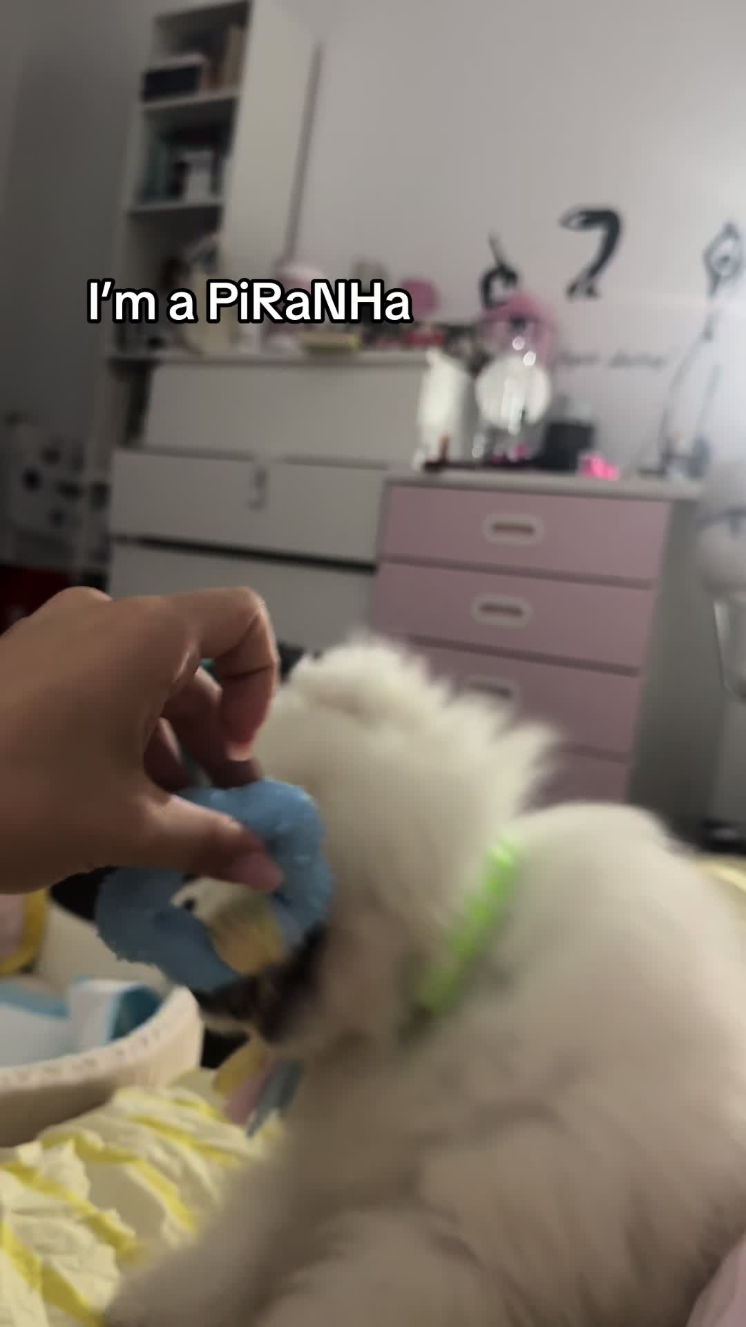 @Ale