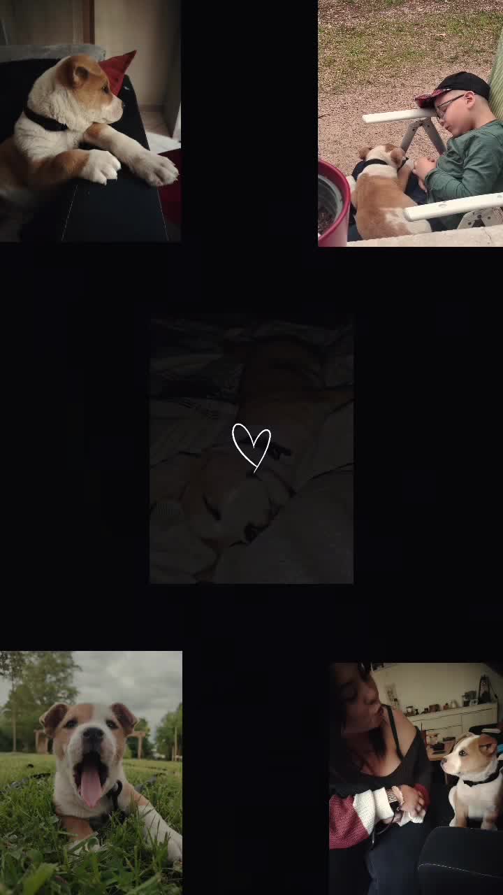 @Saphyr