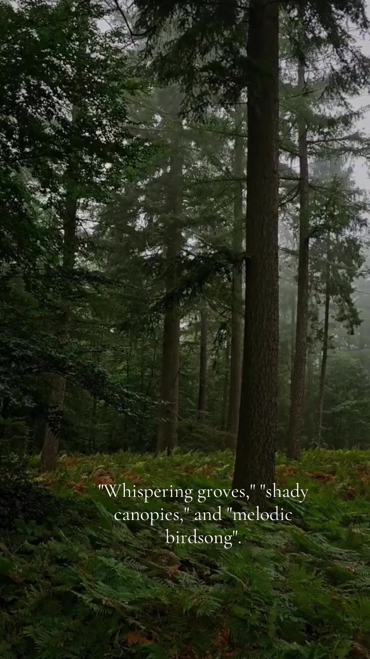 @٭٭٭محترمہ ٭٭٭