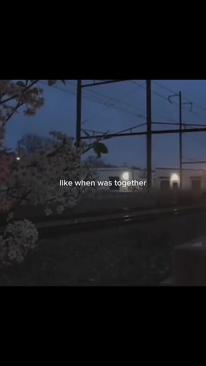 @🕷️🕸️