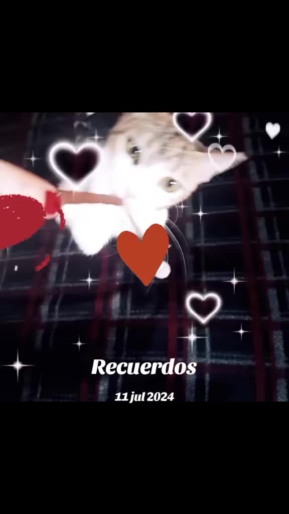 @rubioveronica_11