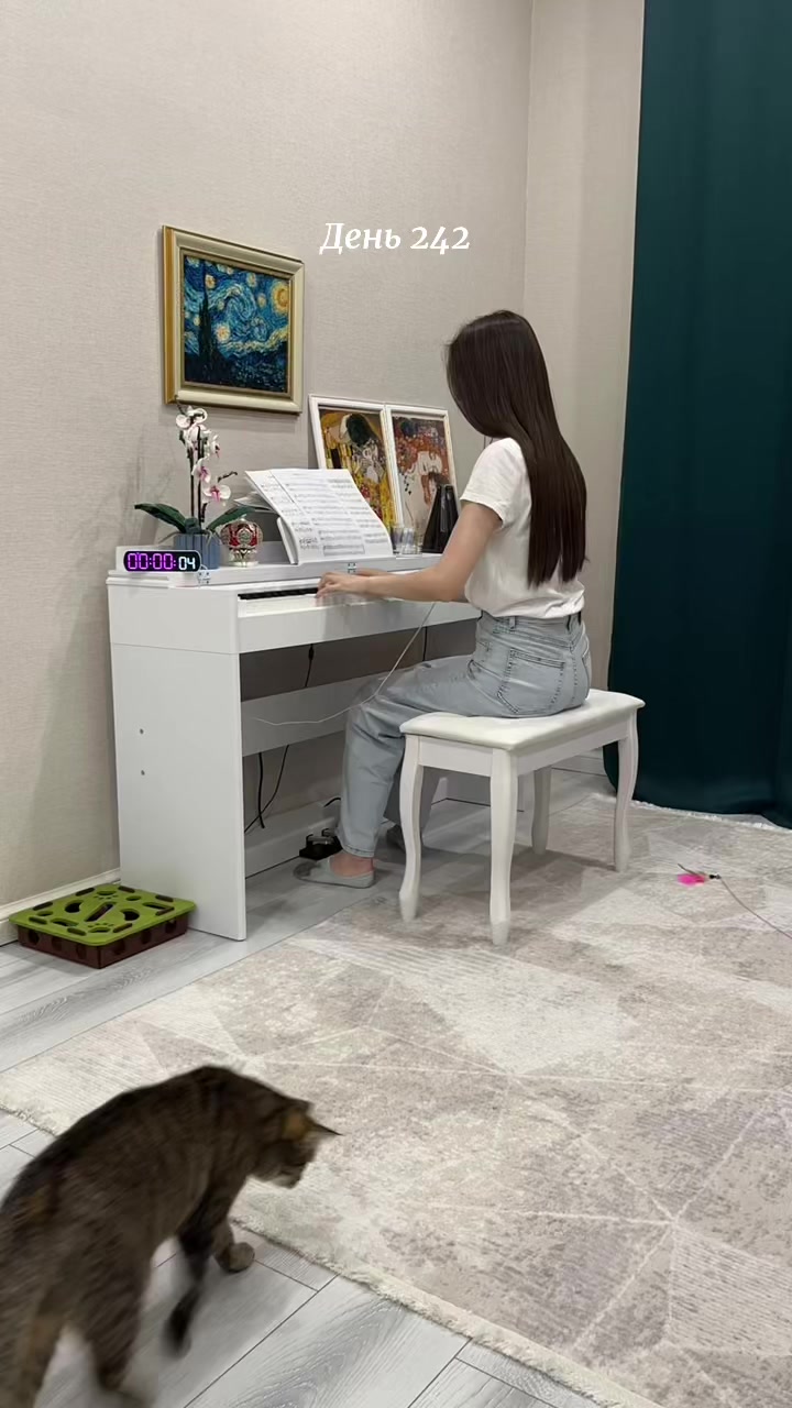 @365 days of piano