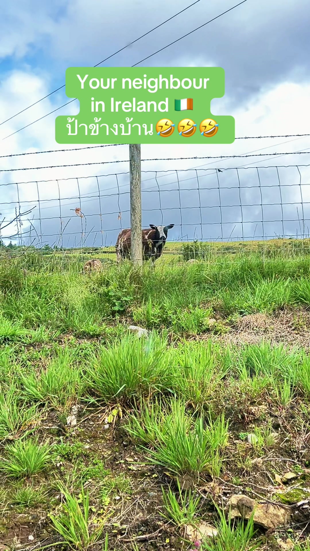 @Ann:)สาวไทยในไอร์แลนด์เหนือ