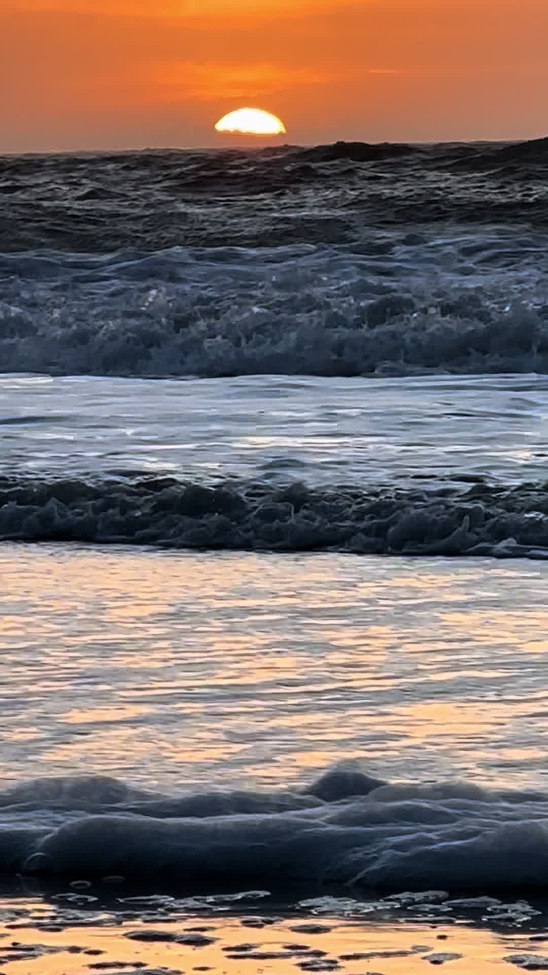 @tina.h7
