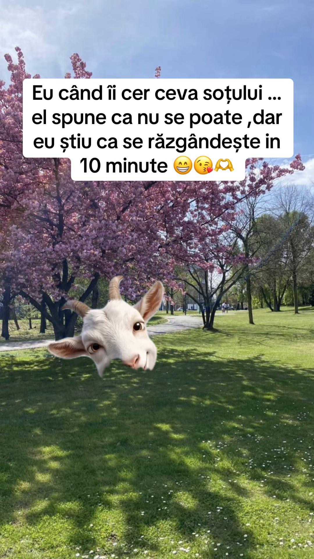 @Ionut17