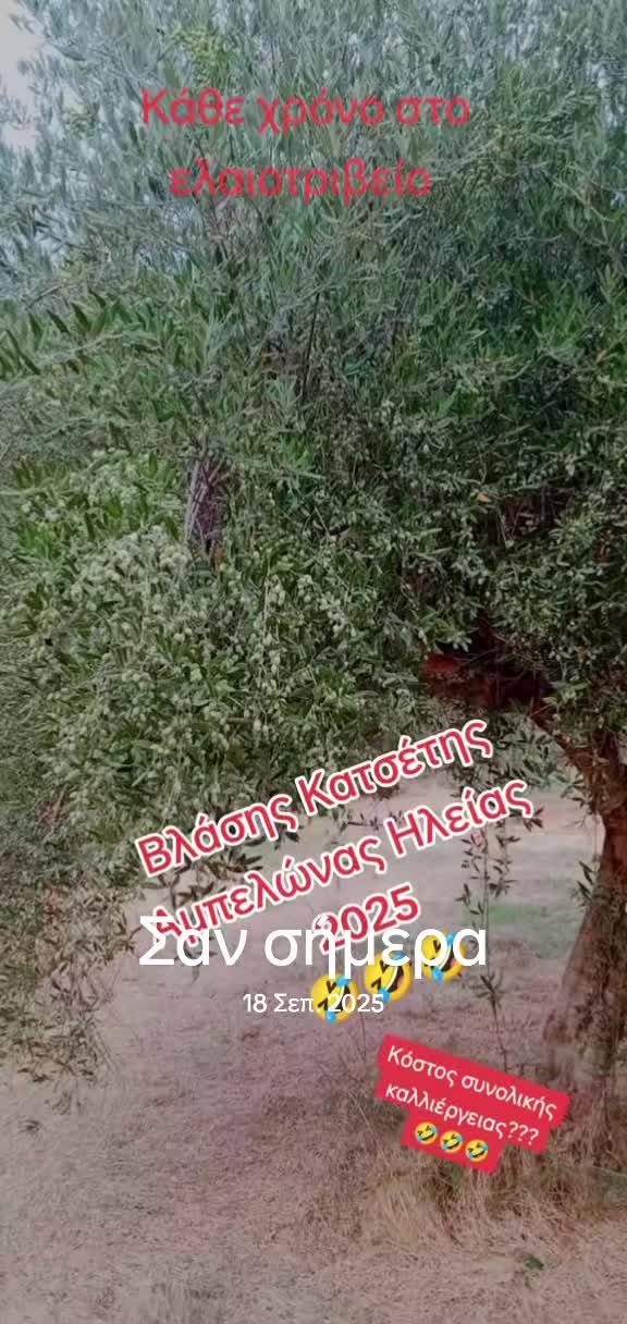 @Αγαλιανός Ιωάννης Γεωπόνος