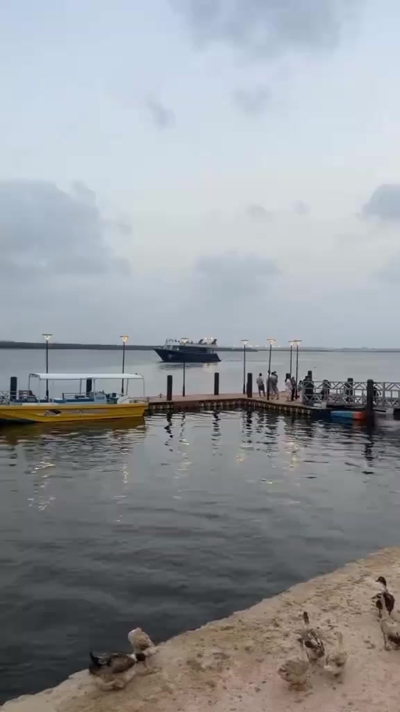@ᥫ᭡𝑀aدی𝐻𝑎🥀 𝑆𝑖𝑑دی𝑞𝑢قᥫ᭡