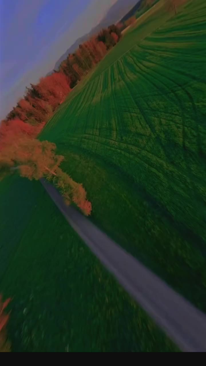 @VibeTranslator