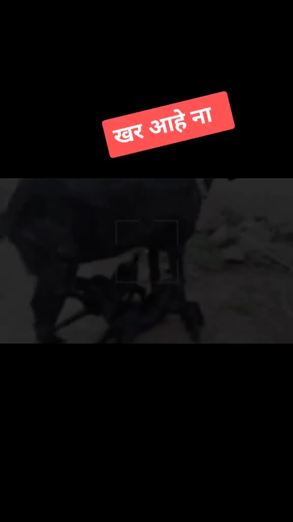 @@amol_0119